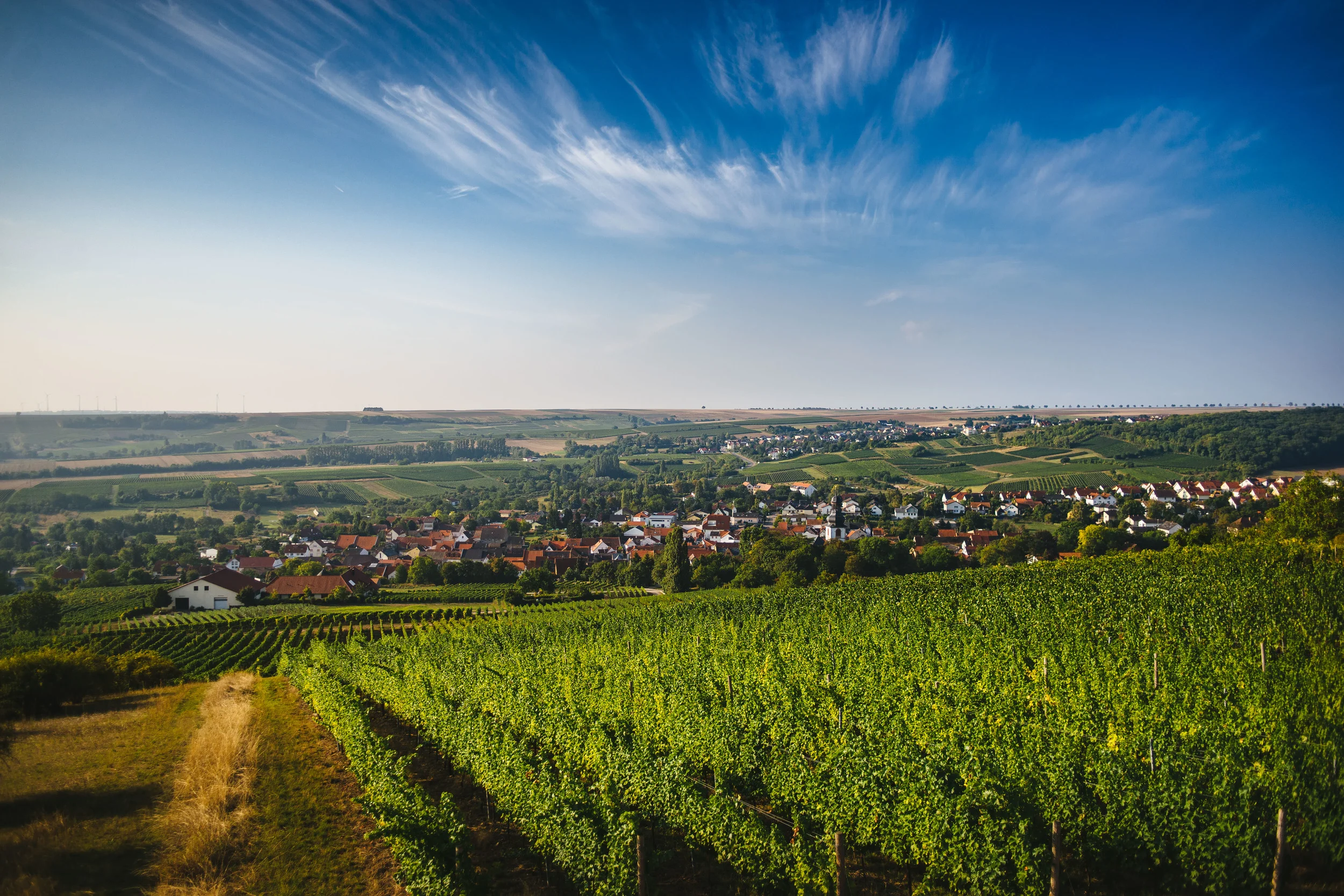 Leckortung in Nieder Olm